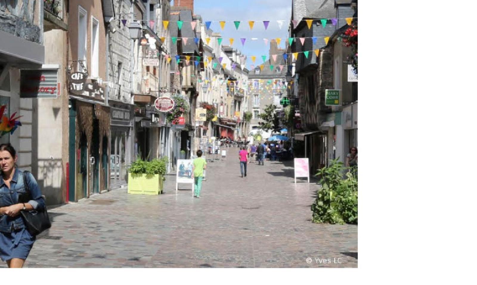Spacieux T3 lumineux dans quartier historique avec wifi Redon Extérieur photo